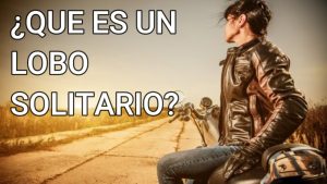 Lee más sobre el artículo ¿Qué son los lobos solitarios?