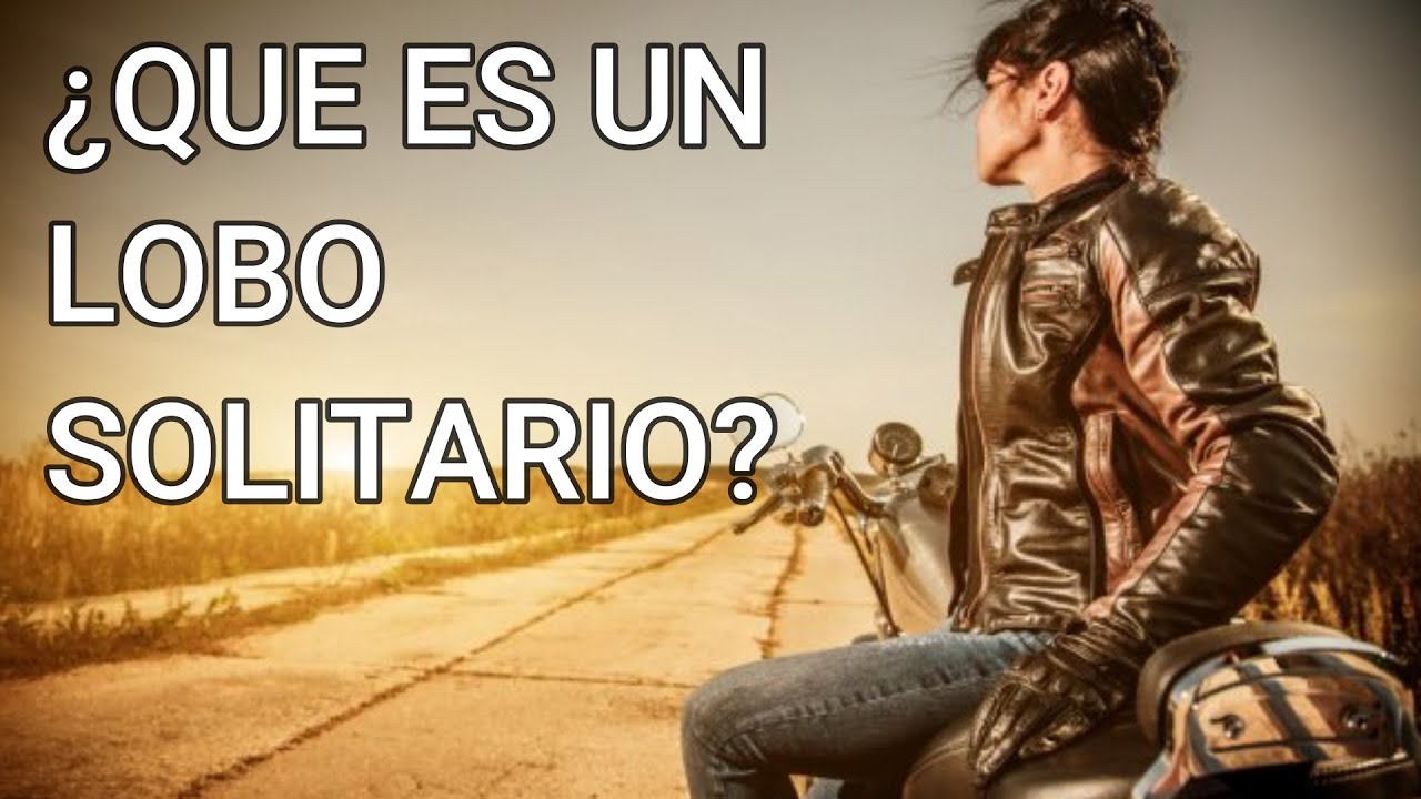 Lee más sobre el artículo ¿Qué son los lobos solitarios?